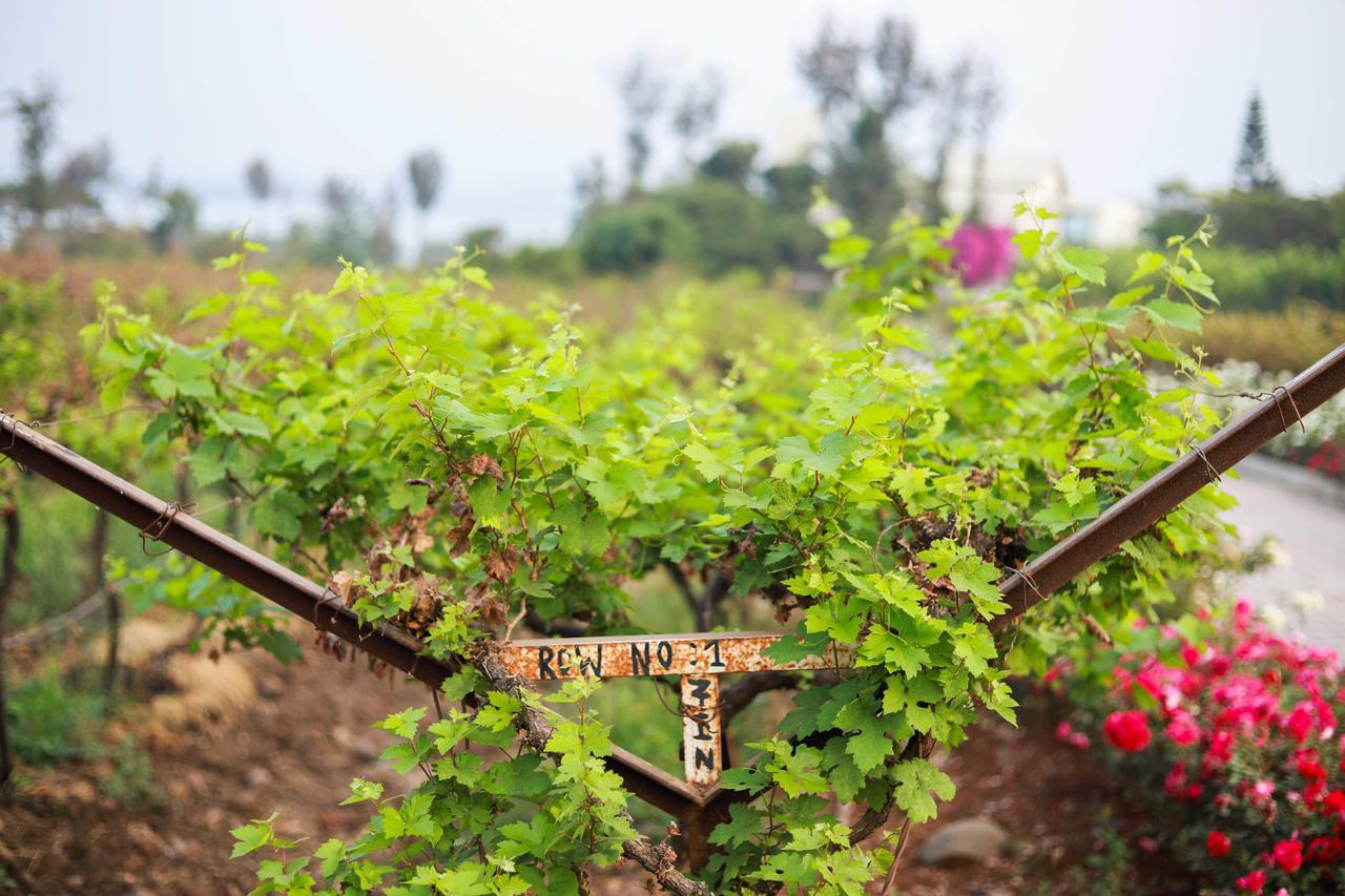 V Resorts Soma Vine Village Mahirāvani Exterior foto